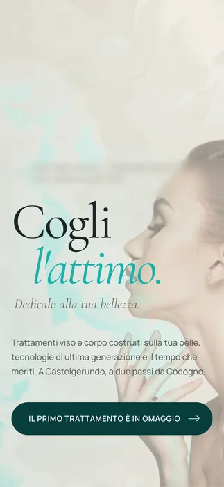 Lo stesso sito sul telefono