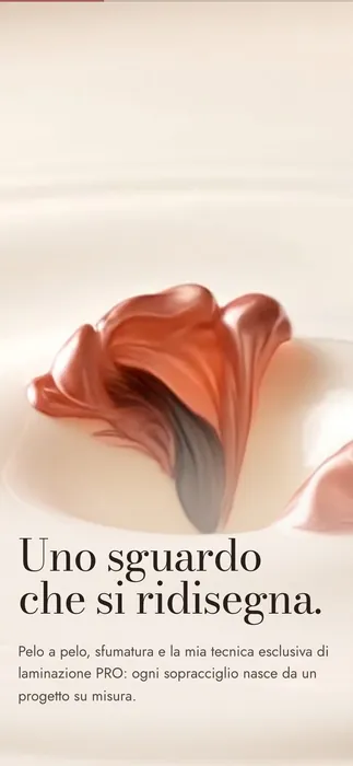Lo stesso sito sul telefono